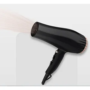 Wholesale Custom DC Motor Professional Hair Blow Dryer High Speed Hair Dryer Wind Nose Ionic Function Overheating Protection