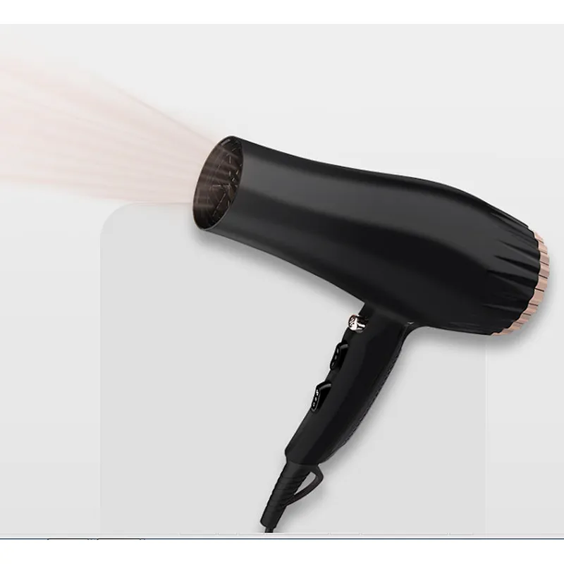 Wholesale Custom DC Motor Professional Hair Blow Dryer High Speed Hair Dryer Wind Nose Ionic Function Overheating Protection