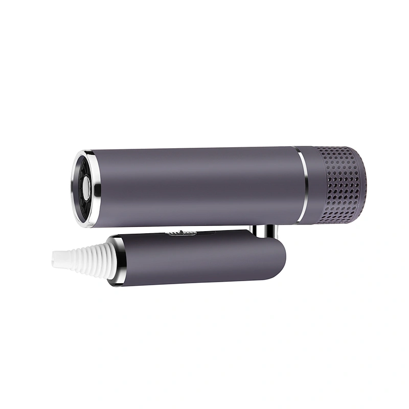 Newest Design Wall Mounted With Concentrator 1600W Ionic Protable Travel Foldable Hair Dryer