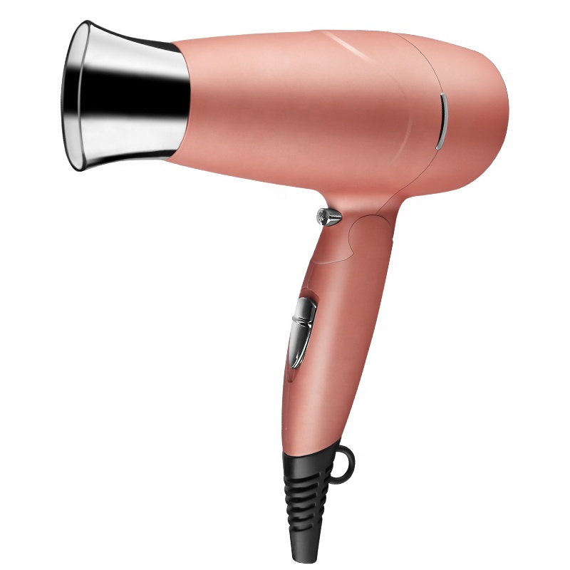 Wholesale OEM Factory Custom LOGO Double Voltage Travel Hair Dryer Hair Salon Equipment Hair Dryer