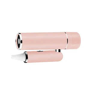 Newest Design Wall Mounted With Concentrator 1600W Ionic Protable Travel Foldable Hair Dryer