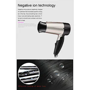 Factory Cheep Price OEM Folding 1000W Mini Travel Hair Dryer Hair Dryer Professional Hair Dryer