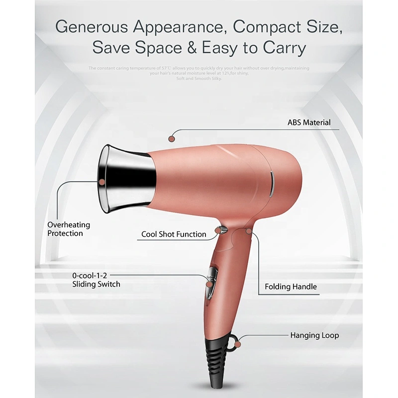Wholesale OEM Factory Custom LOGO Double Voltage Travel Hair Dryer Hair Salon Equipment Hair Dryer