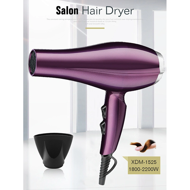 Far Infrared Ionic Hair Salon Equipment Blow Dryer Hair Dryer