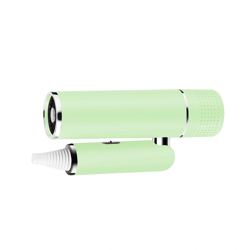 Newest Design Wall Mounted With Concentrator 1600W Ionic Protable Travel Foldable Hair Dryer