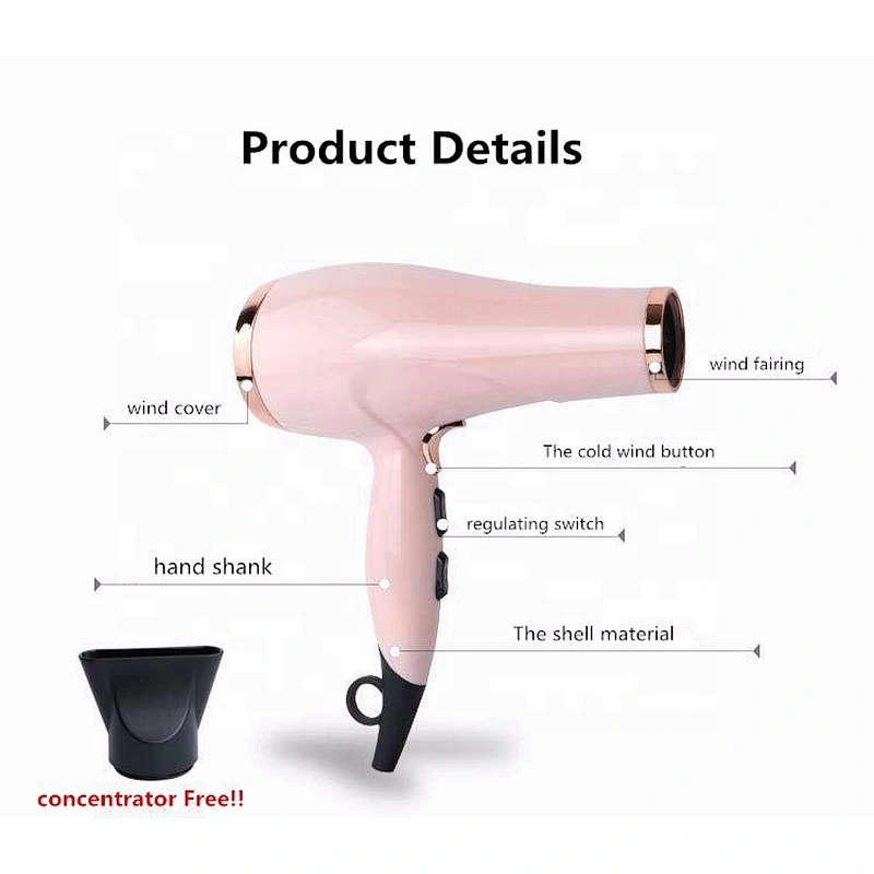 Professional AC Salon Commerical Hair Dryer Blow Machine Customized Hair Dryer With Ionic