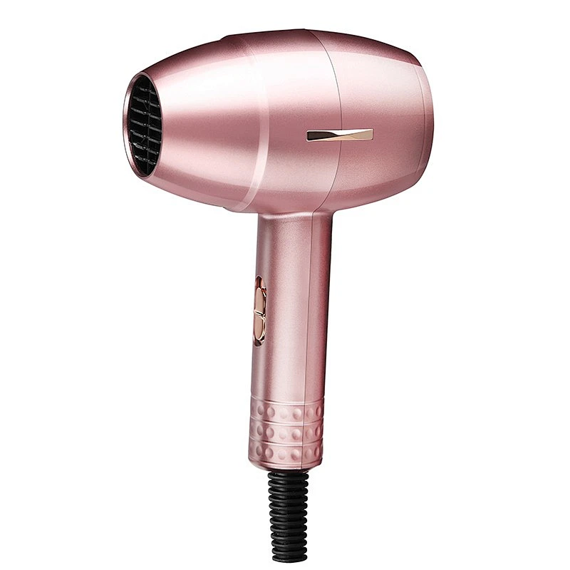 Wholesale DC motor 1200-1400W OEM new design professional Ionic travel  home hair dryer