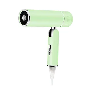 Newest Design Wall Mounted With Concentrator 1600W Ionic Protable Travel Foldable Hair Dryer