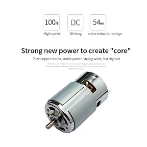 Hot Selling Salon Professional DC Motor with Concentrator/Diffuser/Ionic and Induction Function Professional blow Hair dryer