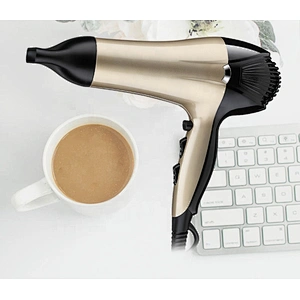 Wholesale Electric Ionic Hairdryer Professional Salon  Hair Blower Dryer Sexy Hair Dryer Sale