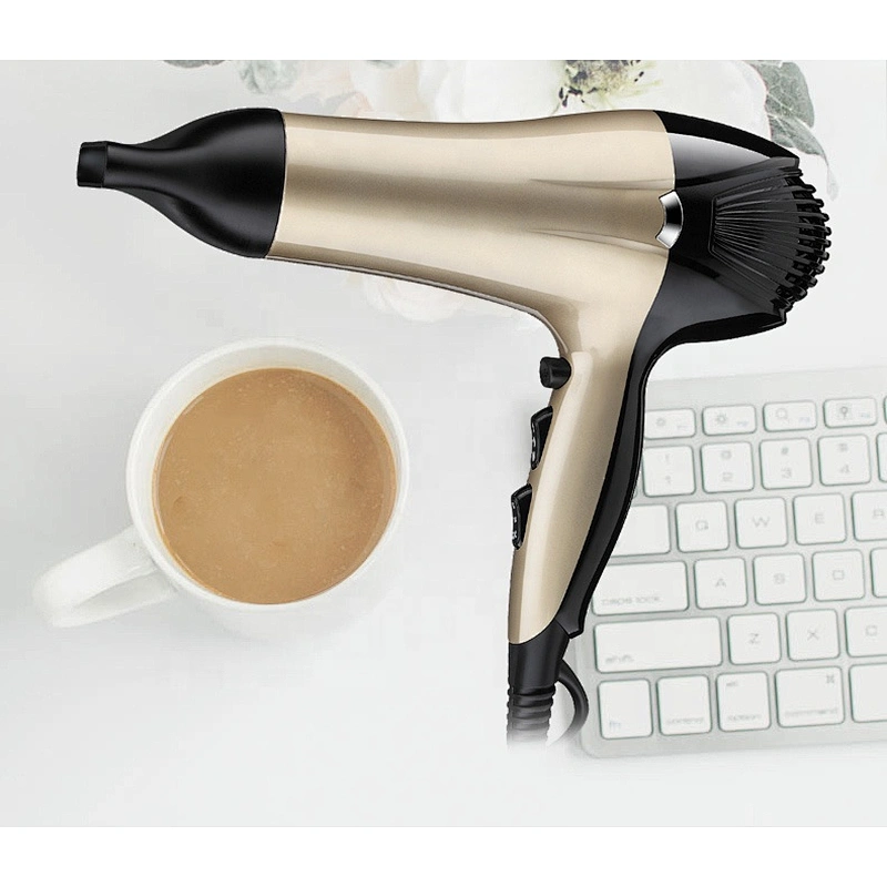 Wholesale Electric Ionic Hairdryer Professional Salon  Hair Blower Dryer Sexy Hair Dryer Sale