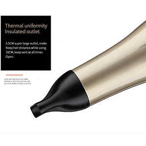 Wholesale Electric Ionic Hairdryer Professional Salon  Hair Blower Dryer Sexy Hair Dryer Sale