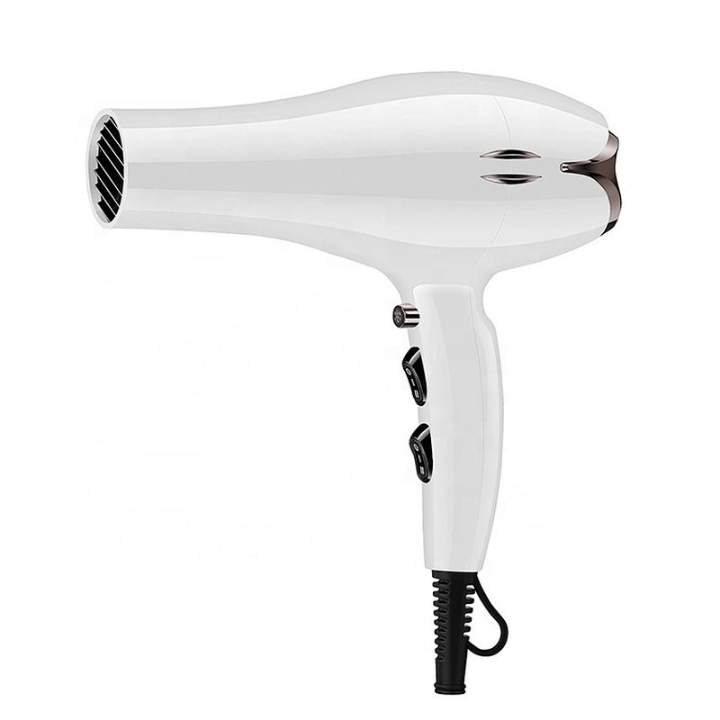 Barber Hair Styling Tools Professional Hair Dryer 2200w AC Motor Hair Dryer For Salons Household Use