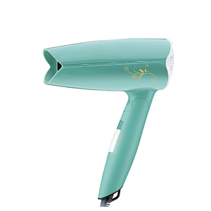 2021 Hot Sale Oem Customized Customs Logo Power Foldable Mini Travel Hair DryerHair Salon Equipment Hair Dryer