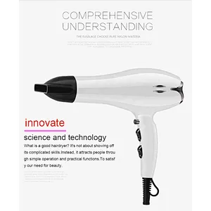 New design OEM AC motor coiled heater Ionic separated function cheapness  Amazon selling customize professional hair dryer