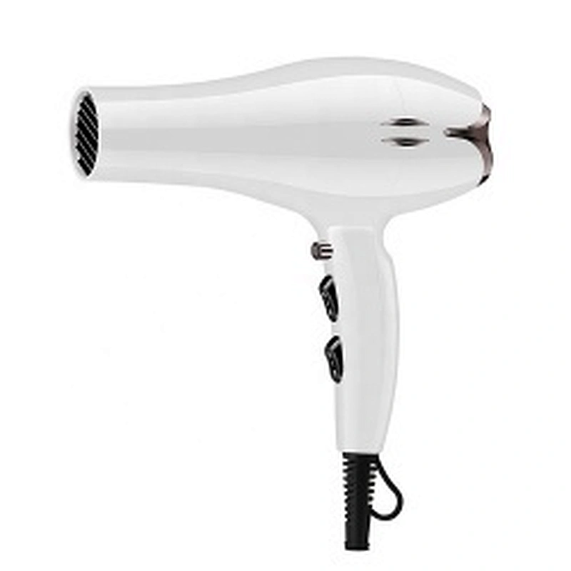 New design OEM AC motor coiled heater Ionic separated function cheapness  Amazon selling customize professional hair dryer