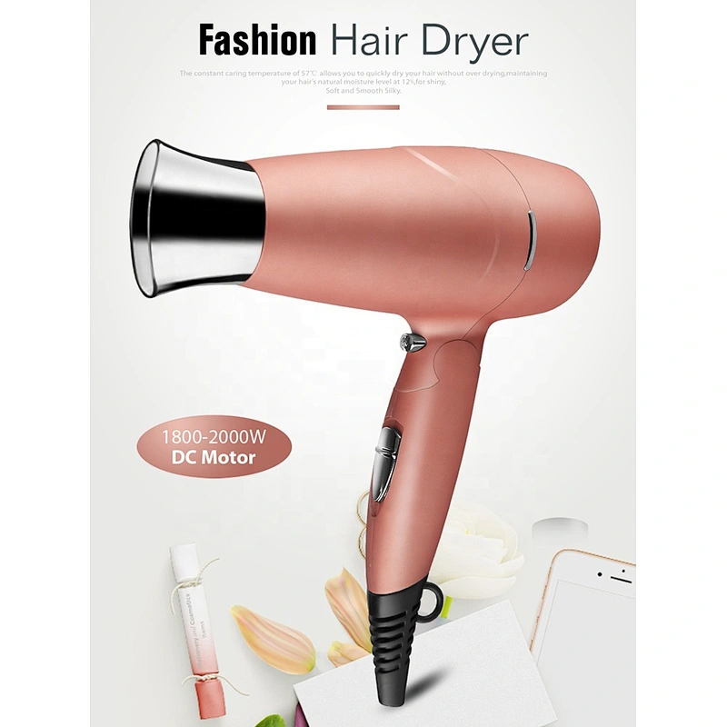 Wholesale OEM Factory Custom LOGO Double Voltage Travel Hair Dryer Hair Salon Equipment Hair Dryer