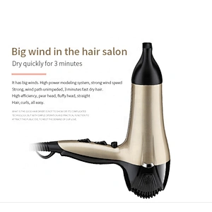 Wholesale Electric Ionic Hairdryer Professional Salon  Hair Blower Dryer Sexy Hair Dryer Sale