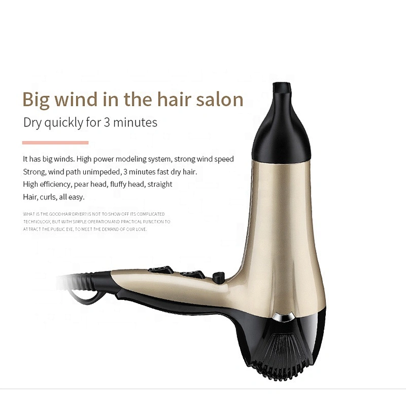 Wholesale Electric Ionic Hairdryer Professional Salon  Hair Blower Dryer Sexy Hair Dryer Sale