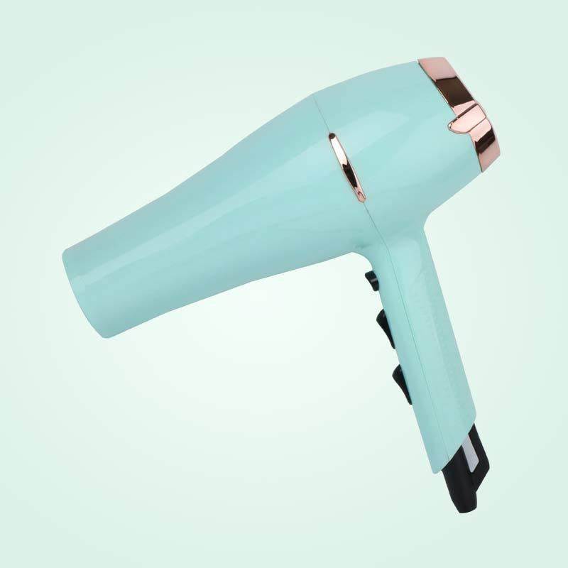 Factory wholesale AC Motor Salon Professional Hair Dryer