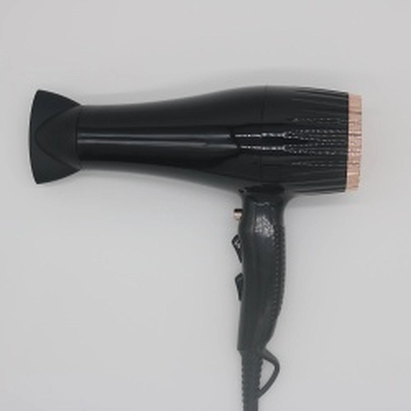 Wholesale Custom DC Motor Professional Hair Blow Dryer High Speed Hair Dryer Wind Nose Ionic Function Overheating Protection