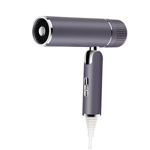 Newest Design Wall Mounted With Concentrator 1600W Ionic Protable Travel Foldable Hair Dryer