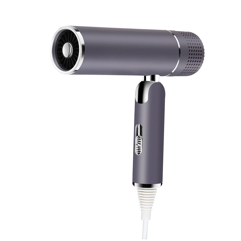 Newest Design Wall Mounted With Concentrator 1600W Ionic Protable Travel Foldable Hair Dryer