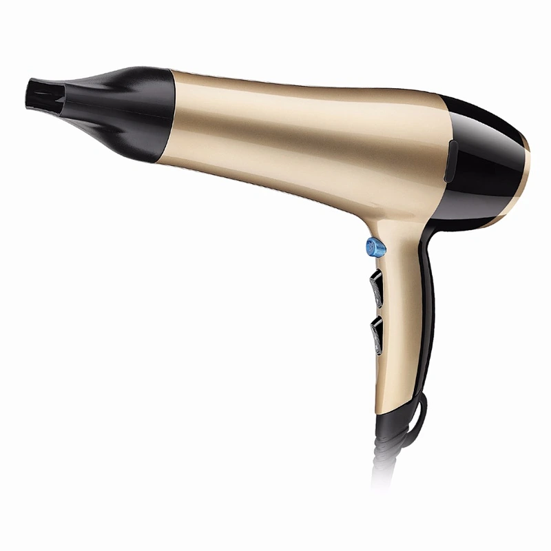 Factory wholesale AC Motor Salon Professional Hair Dryer