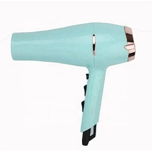 Professional DC Motor Hair Salon Equipment Blow Dryer Hair Dryer