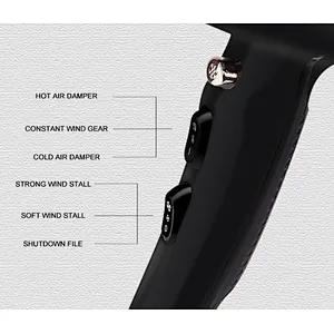 Wholesale Custom DC Motor Professional Hair Blow Dryer High Speed Hair Dryer Wind Nose Ionic Function Overheating Protection