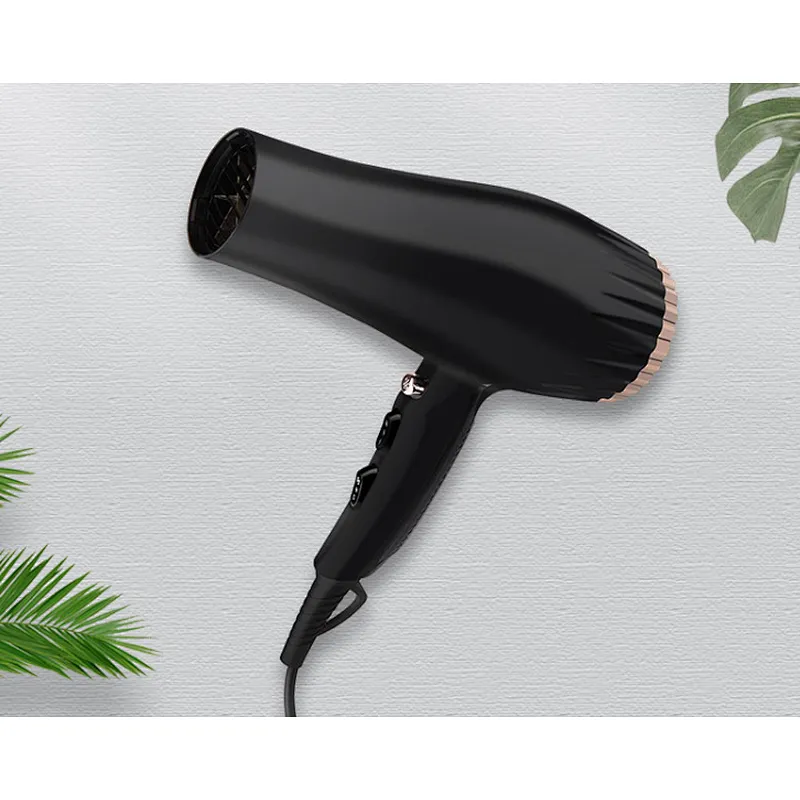 Wholesale Custom DC Motor Professional Hair Blow Dryer High Speed Hair Dryer Wind Nose Ionic Function Overheating Protection