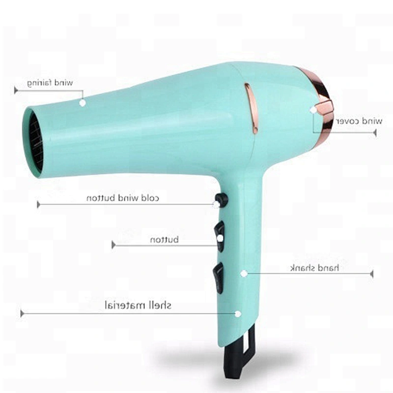Professional DC Motor Hair Salon Equipment Blow Dryer Hair Dryer