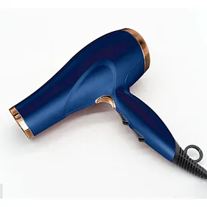 Professional AC Salon Commerical Hair Dryer Blow Machine Customized Hair Dryer With Ionic