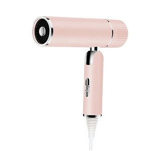 Newest Design Wall Mounted With Concentrator 1600W Ionic Protable Travel Foldable Hair Dryer