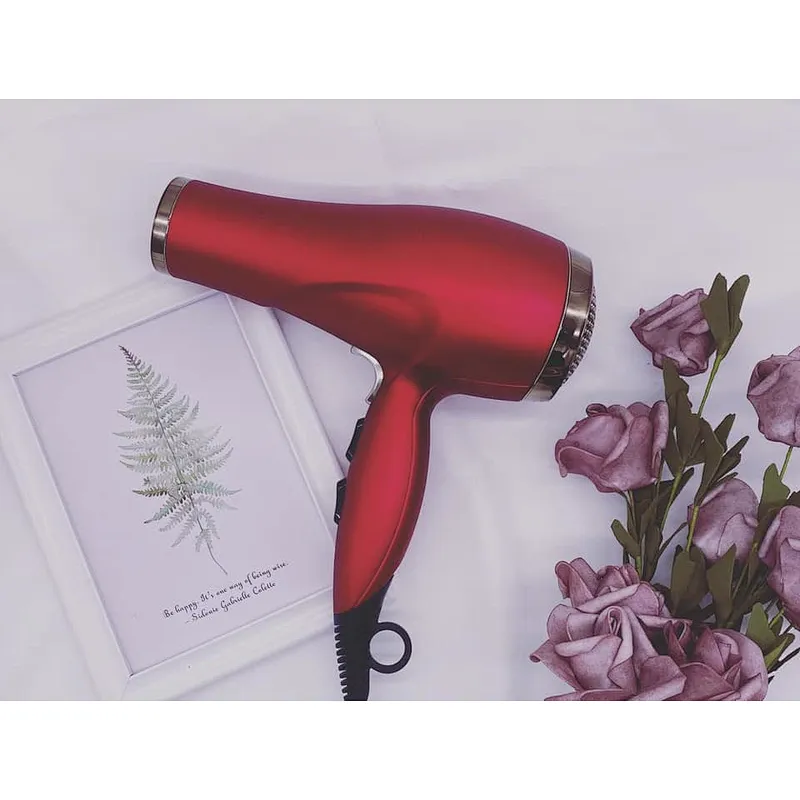 Professional AC Salon Commerical Hair Dryer Blow Machine Customized Hair Dryer With Ionic
