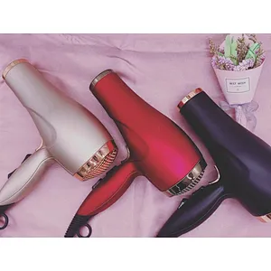 Professional AC Salon Commerical Hair Dryer Blow Machine Customized Hair Dryer With Ionic