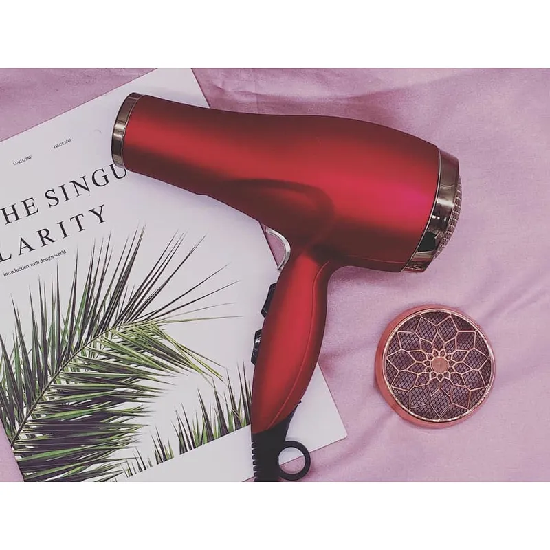 Professional AC Salon Commerical Hair Dryer Blow Machine Customized Hair Dryer With Ionic