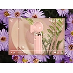 2022 Too Cute Pocket Hair Dryer XDM-1904