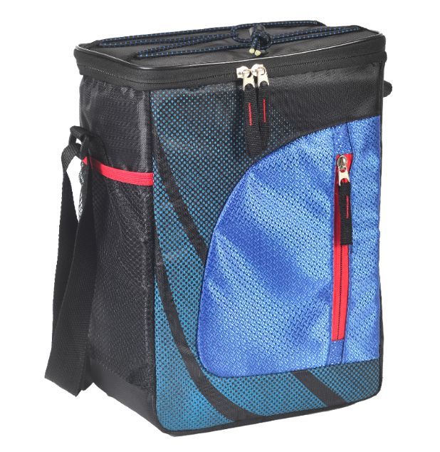 Cooler bag‚ 11L