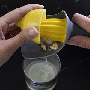 Lemon juicer