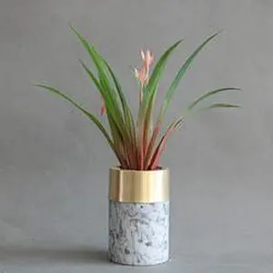 Marble Vase