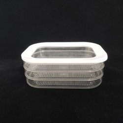 Fridge container