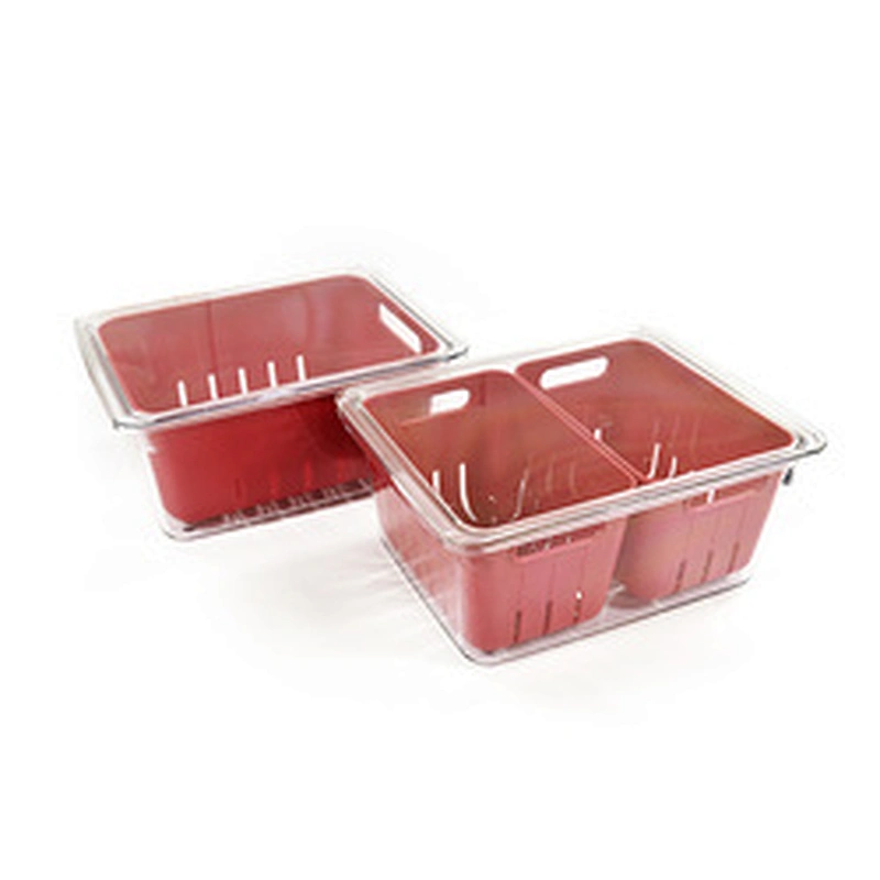 Fridge container