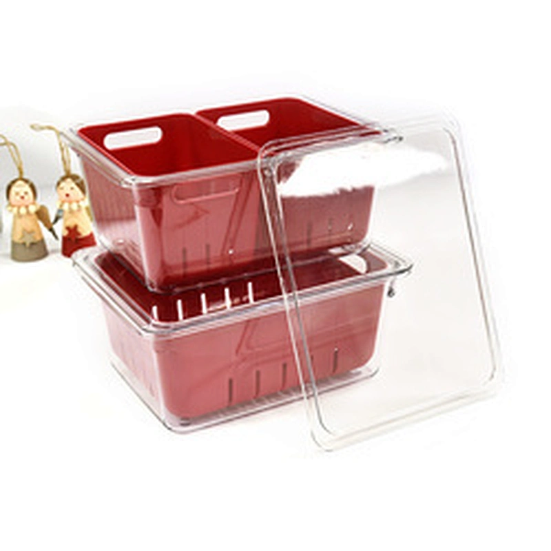 Fridge container