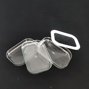 Fridge container