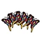 patch embroidered
