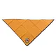 scout camp