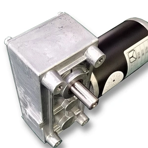 49mm Low Rpm High Torque Garbage Disposal Motor