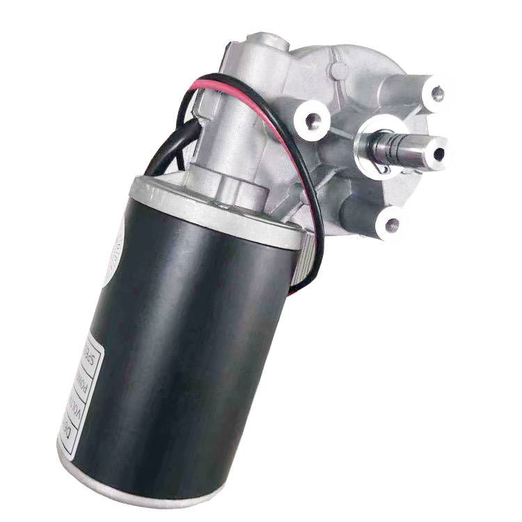 Custom Dc 12V 24V 36V 48V Worm Gear Motor