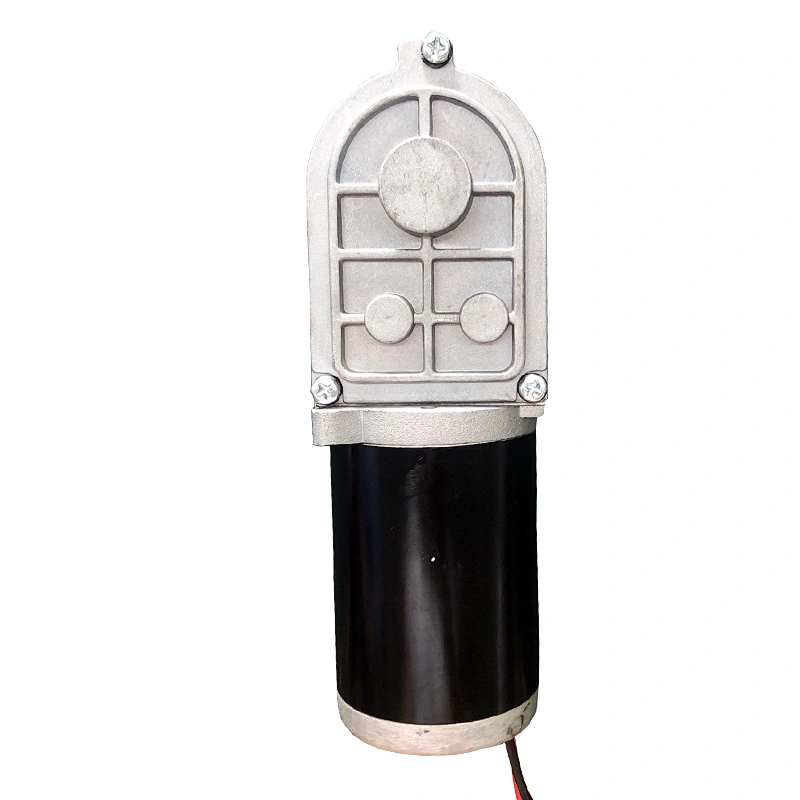 D49D3 High Torque Low Rpm Range Hood Motor